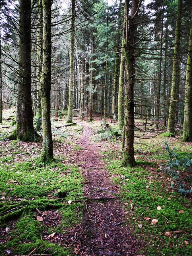 Le Mas De Chartreuse Miribel-les-Échelles Eksteriør bilde